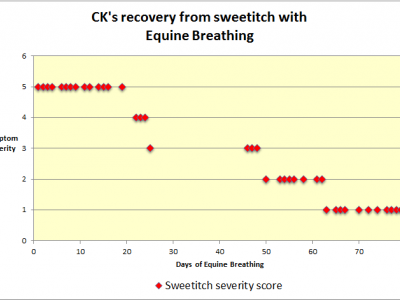 Equine Breathing sweetitch trial CK's results chart