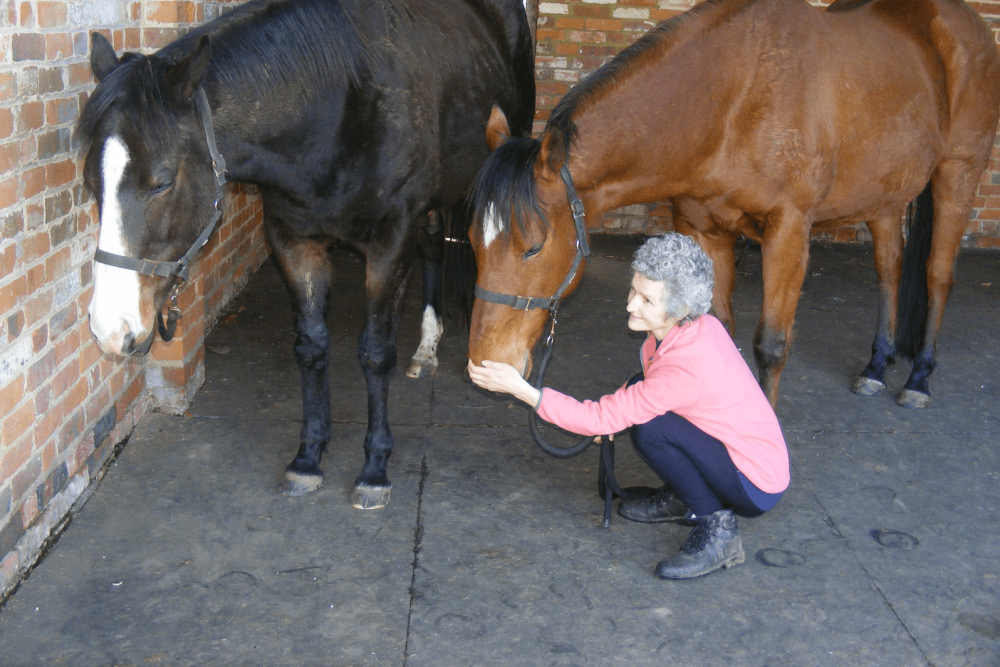 Horses enjoying the Equine Breathing 1N technique