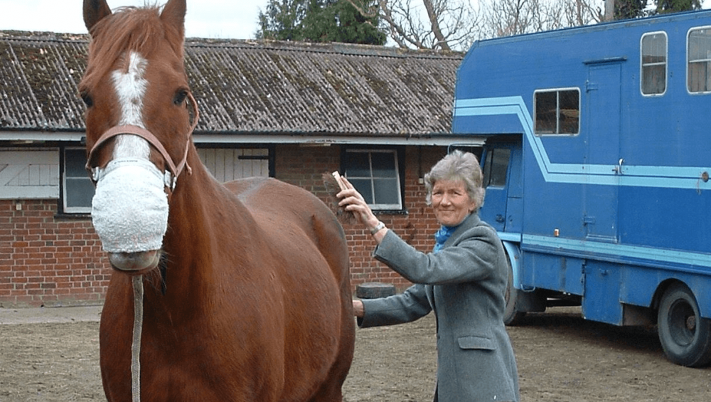 calming pre competition nerves with Equine Breathing