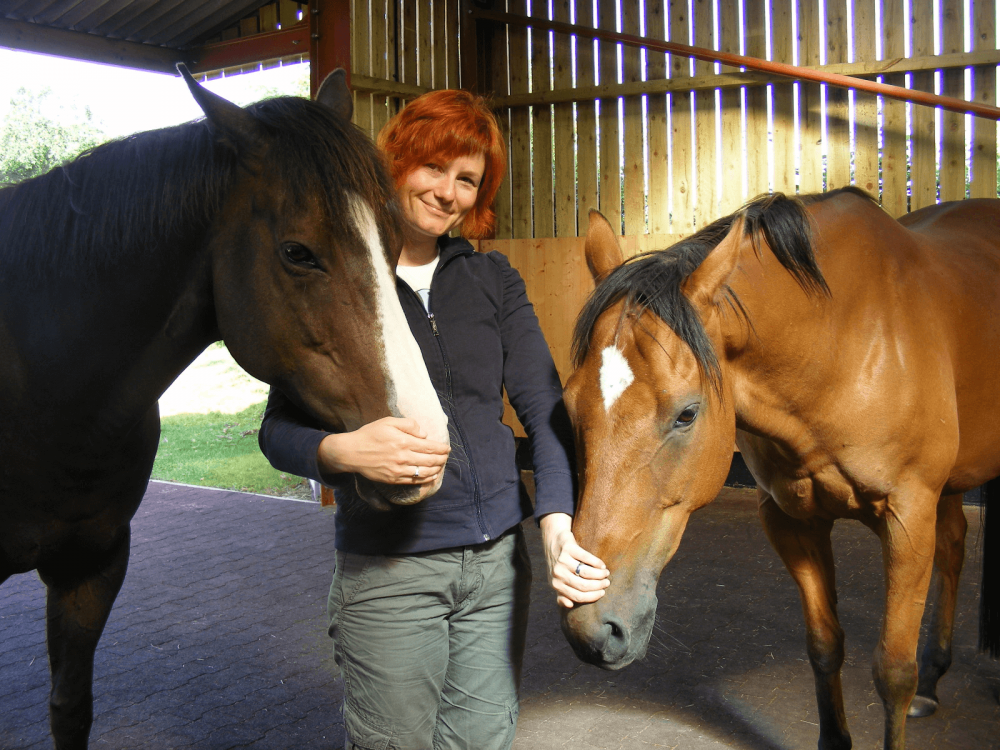 Michi, Equine Breathing Trainer mit zwei Pferden