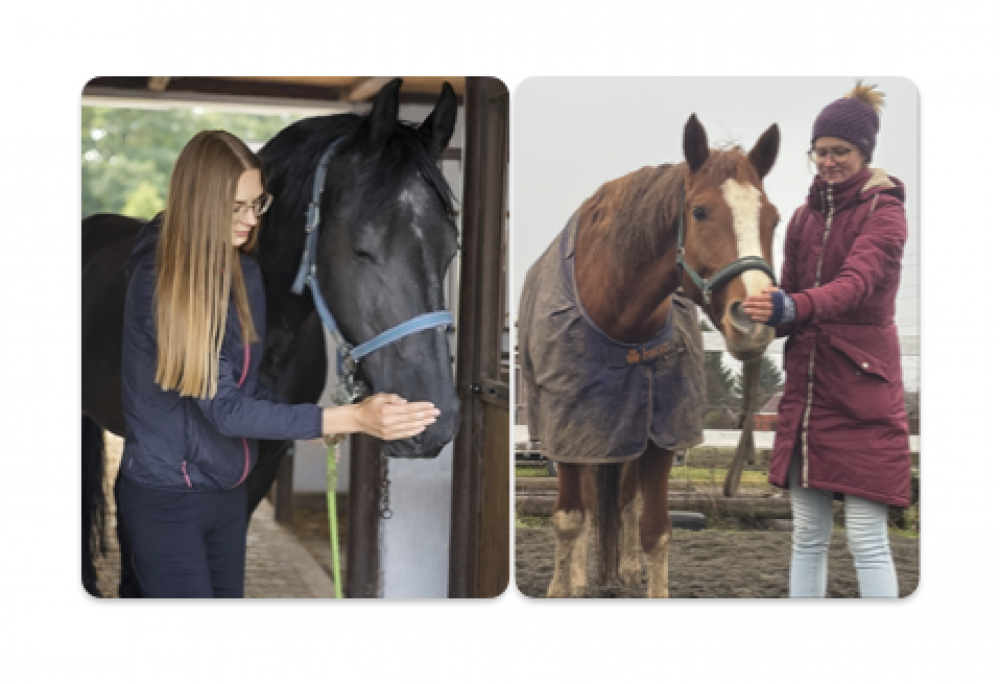 Equine Breathing Trainers Cestina