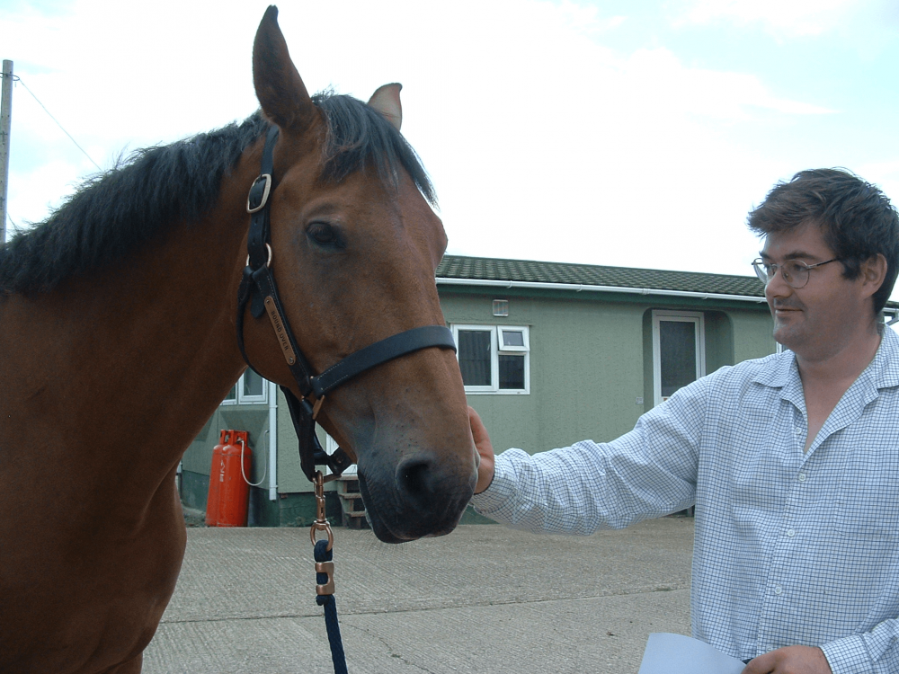Horse rider (mouth closed) with his horse