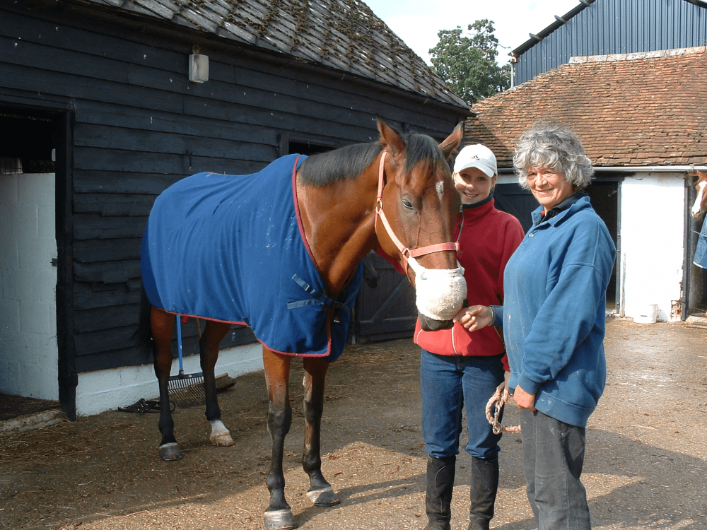 Horse sleeping in an Equine Breather with trainer and groom