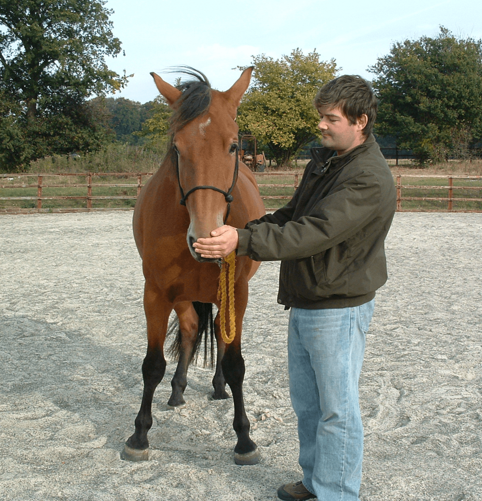 Owner doing 1N after exercise