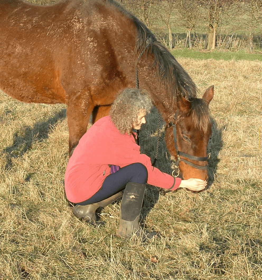 Correct crouching position when horse lowers head in 1N