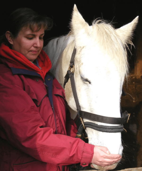 Help your horse heal with these instructions for Equine Breathing 1N