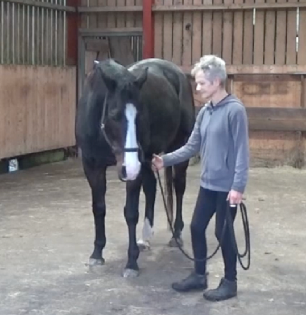 control of movement exercise