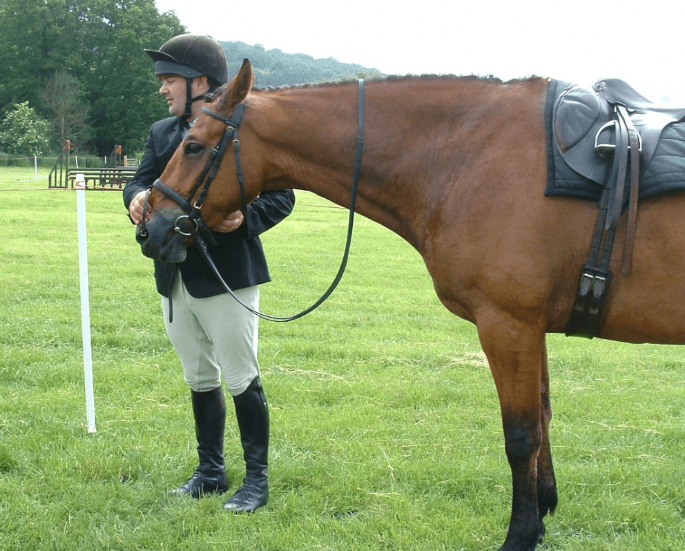 Horse ailments and behavioural problems can Equine Breathing help?