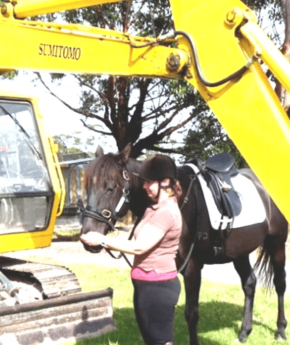 Horse ailments and behavioural problems can Equine Breathing help?