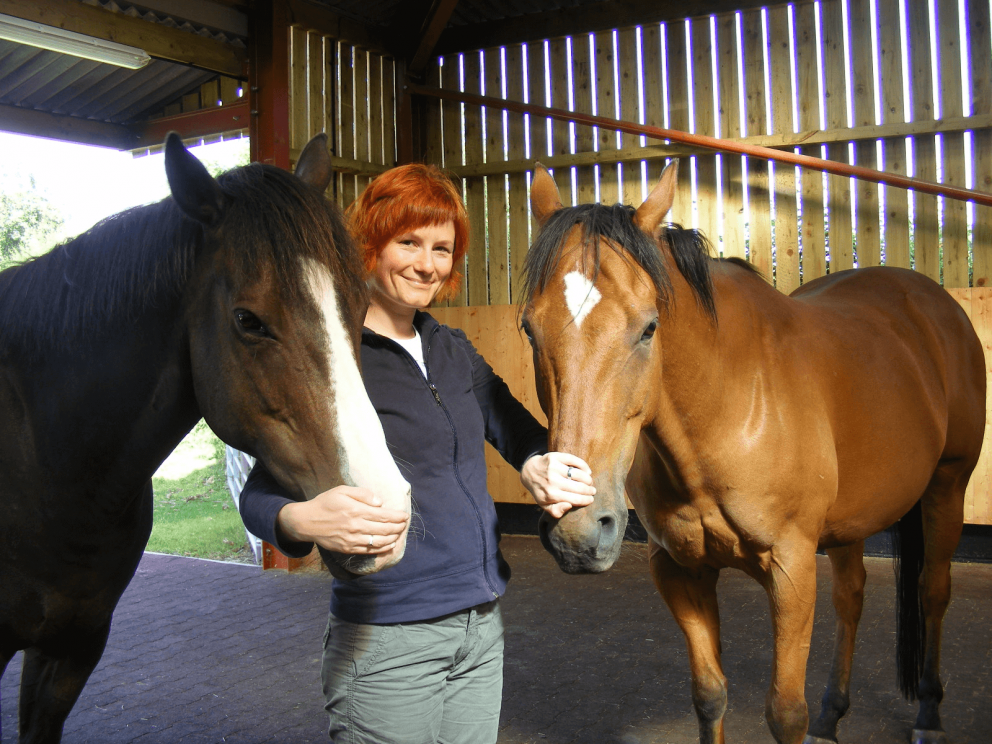 Michi Equine Breathing two horses