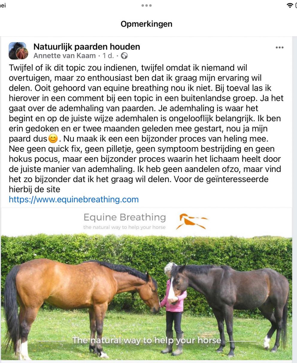 Dutch recommendation