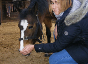 Equestrian Centre ponies enjoying their first taste of Equine Breathing