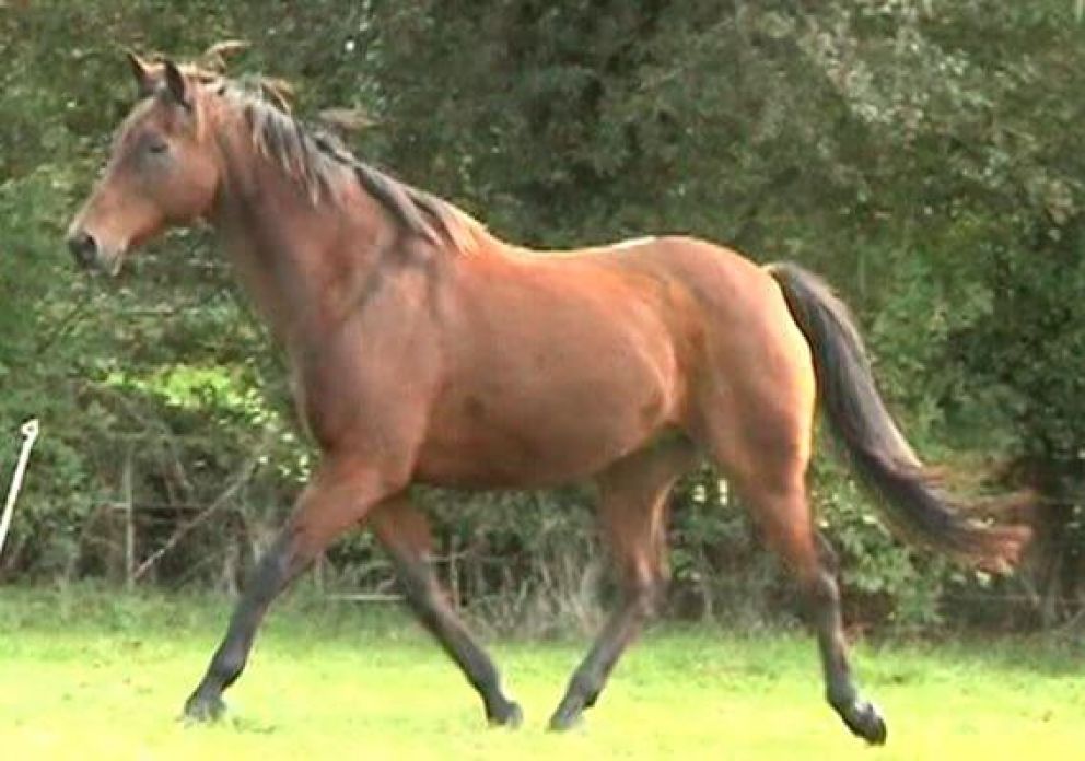 Cuilrane - 29 years young