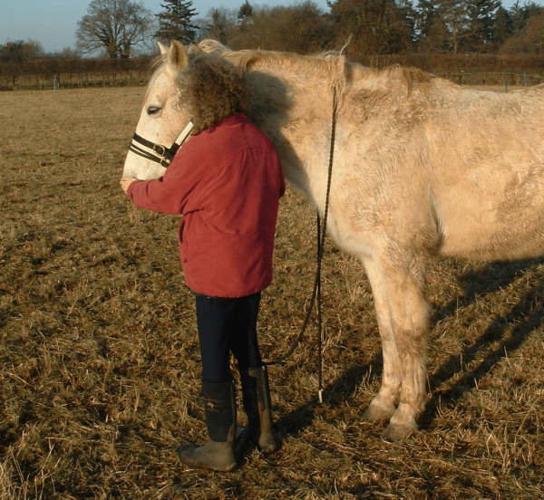 Help your horse heal with these instructions for Equine Breathing 1N