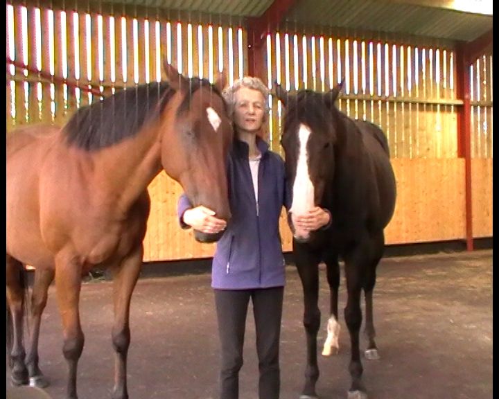 Equine Breathing the natural way to help horses Overview