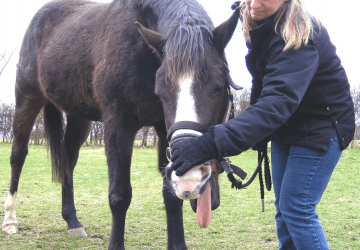  Equine Breathing Trainer Course