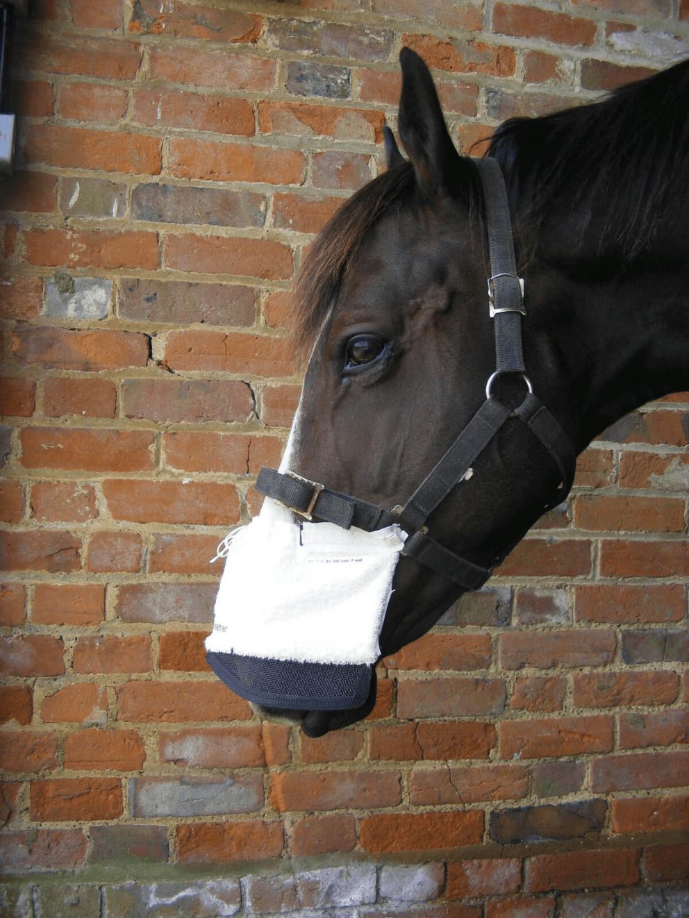 Equine Breathing product -Grazing Breather pack