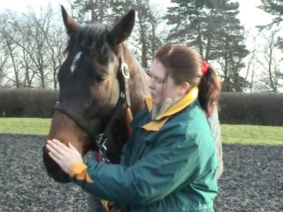 1N training in Equine Breathing level 1 workshop