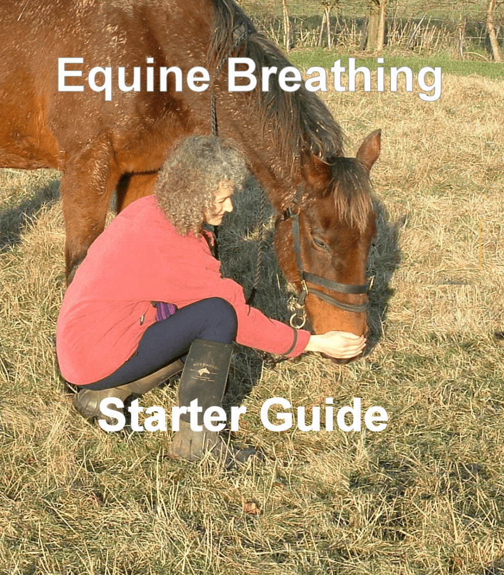 Equine Breathing Starter Guide E booklet