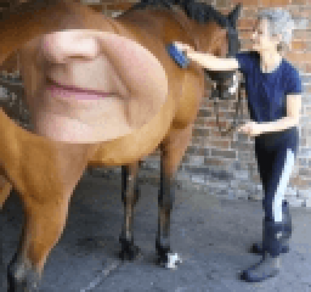 Grooming a horse with the mouth closed