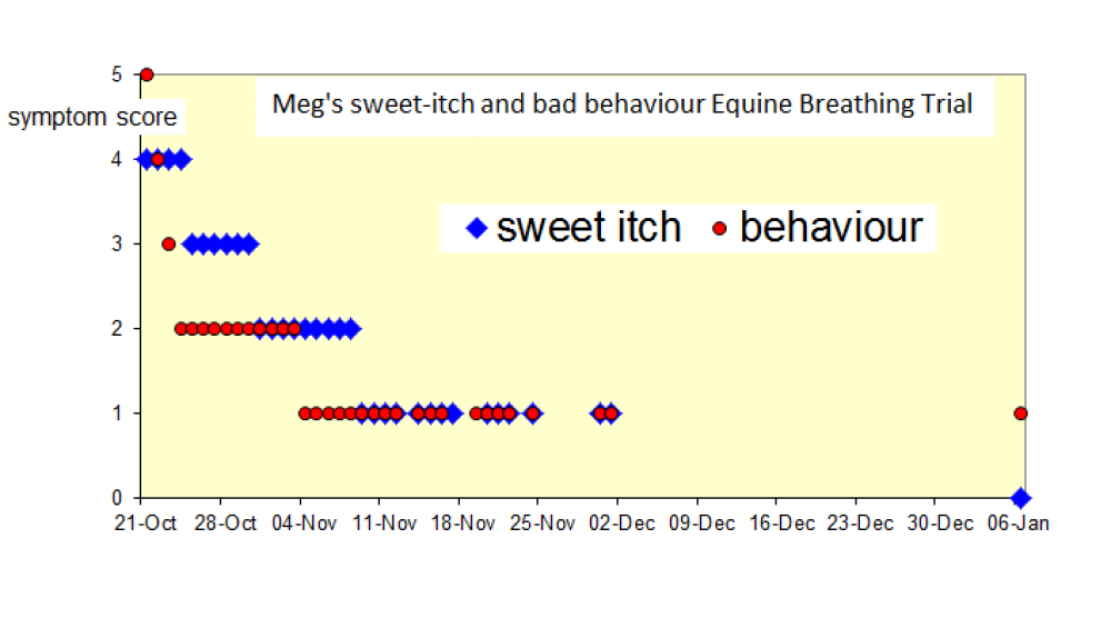 Equine Breathing sweetitch trial Megs results chart