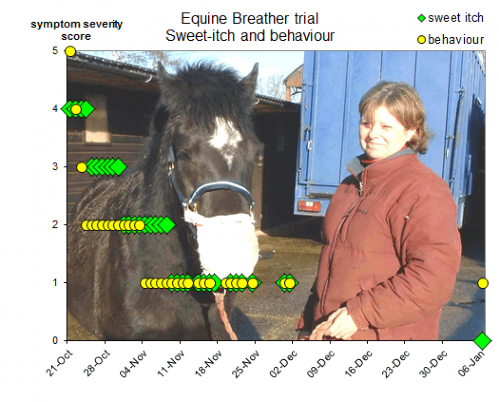 Chart showing horse's recovery from sweet-itch with Equine Breathing