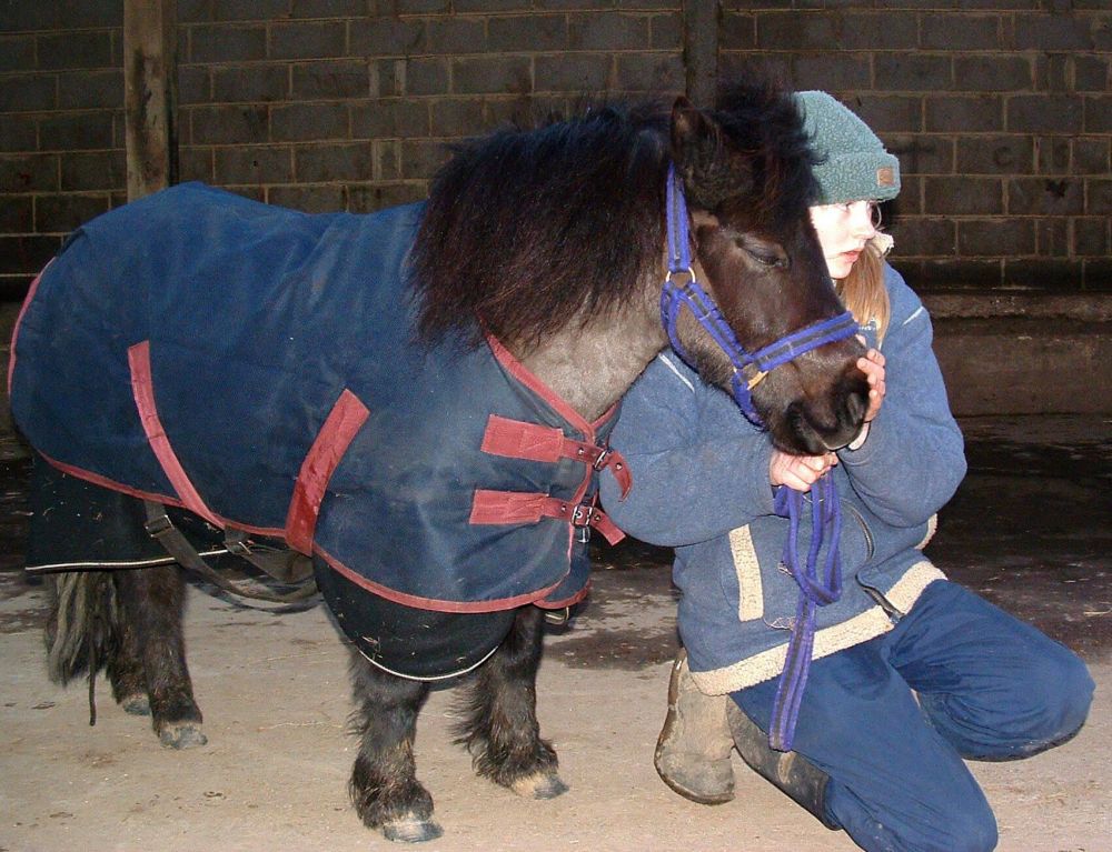 How to do Equine Breathing - the natural way to help horses