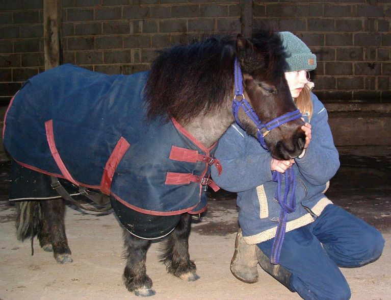How to do Equine Breathing the natural way to help horses