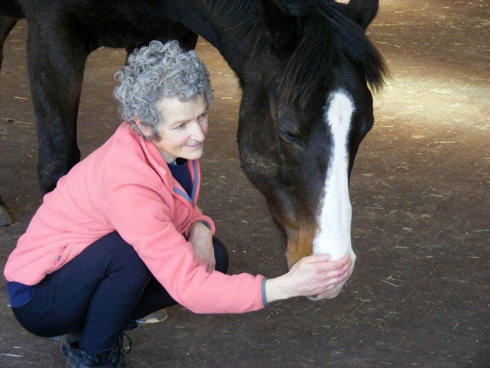 Equine Breathing
