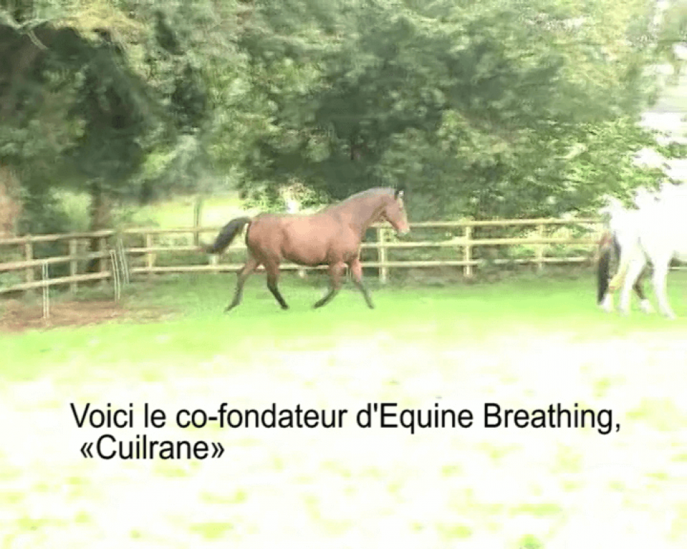 vignette vidéo de l'extrait de la vidéo de formation de l'AW