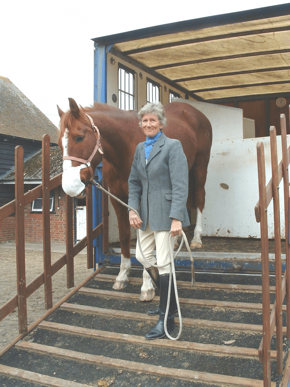 Horse calmy un-loading in an Equine Breather