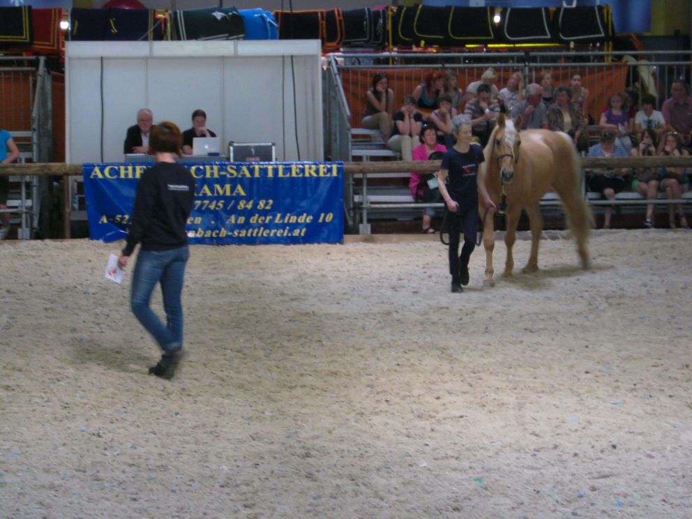 Eine Demonstration bei Pferd Wels österreichweit von Equine Breathing Trainerin Michaela Weilguny