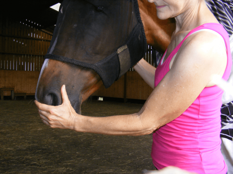How to do Equine Breathing the natural way to help horses