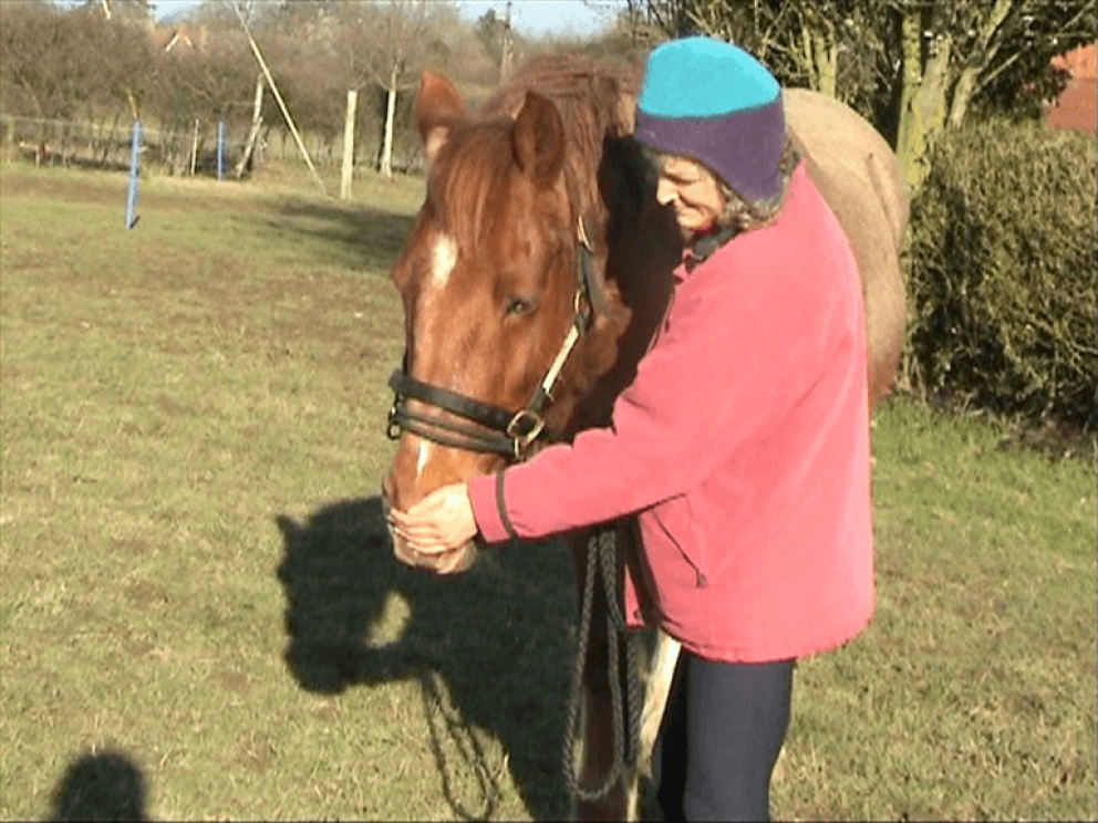 How to do Equine Breathing - the natural way to help horses