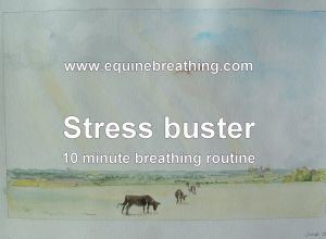 Stress buster breathing sequence