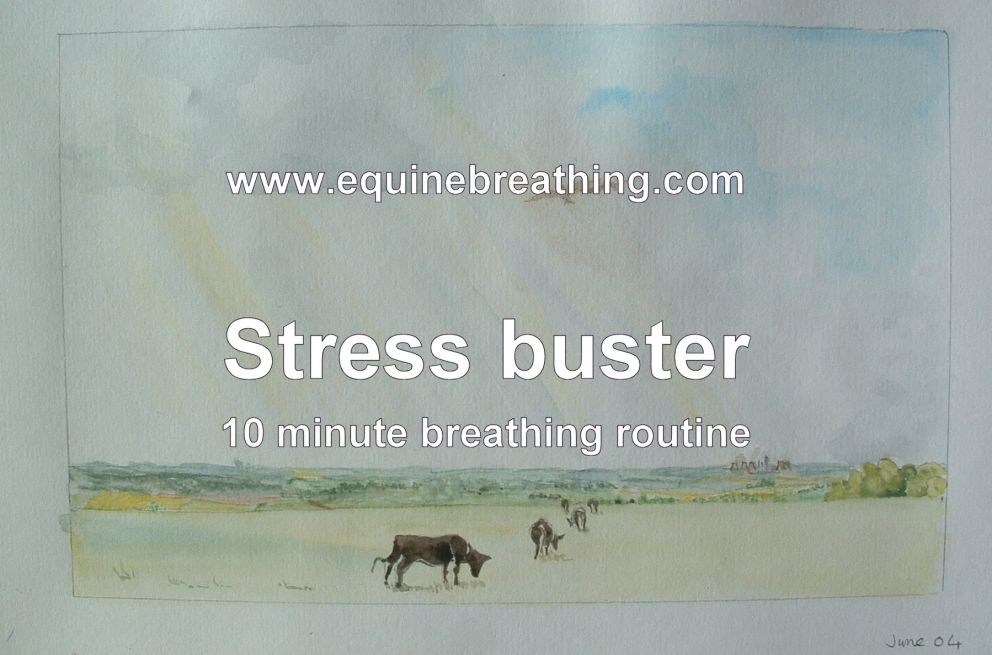 Stress buster breathing  sequence