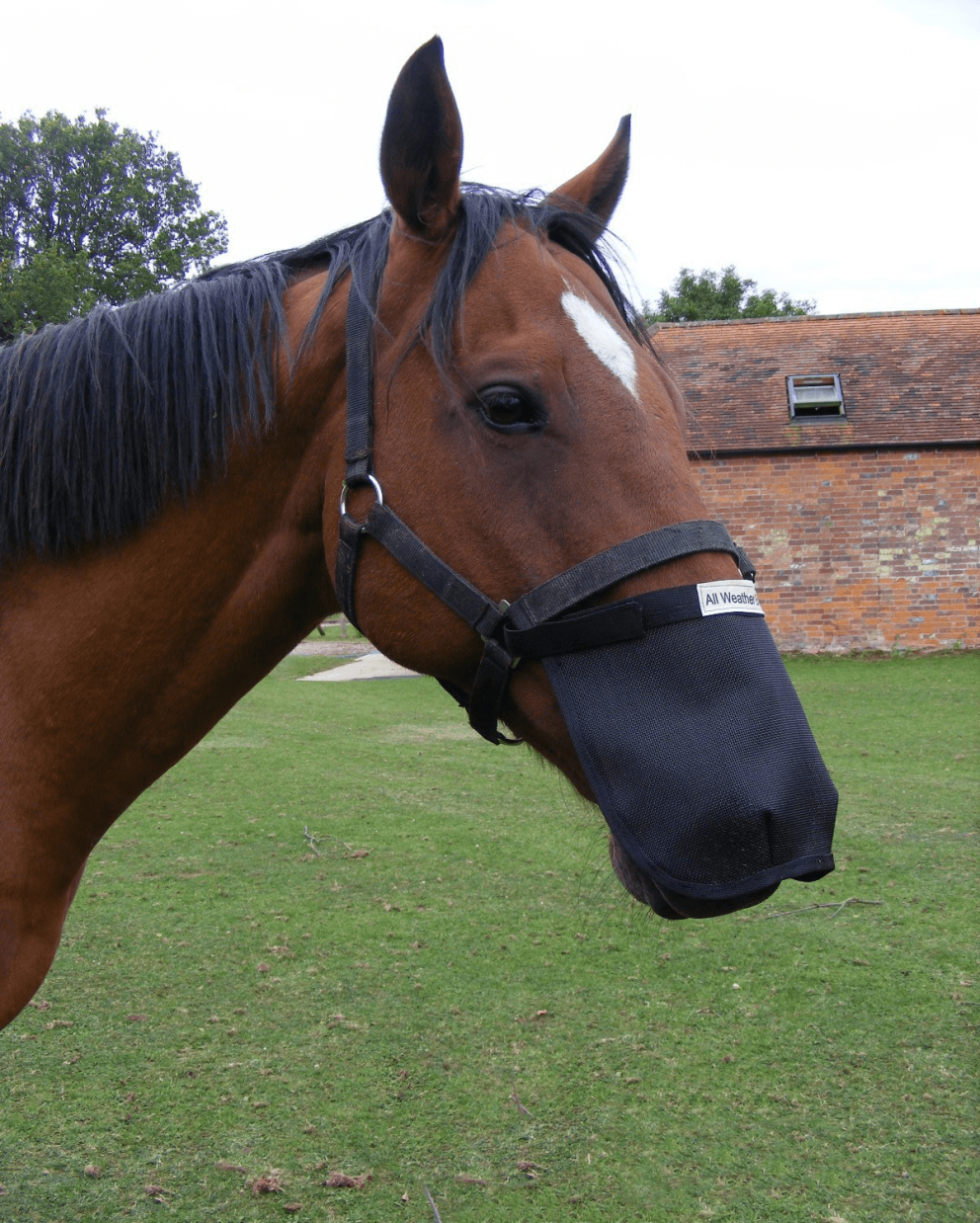 All Weather Breather